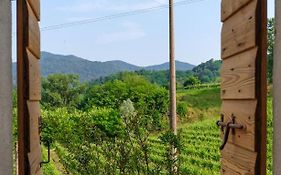 Ca' del Biss